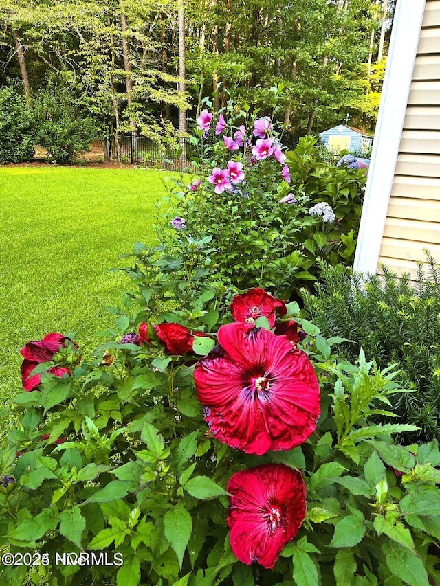 exterior view of fence