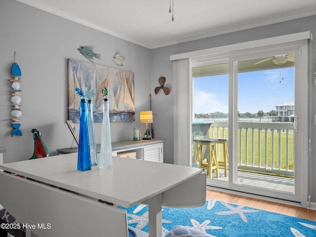650 Cedar Point Blvd Unit B14, Cedar Point, NC 28584 - interior space featuring a wealth of natural light, white cabinets, crown molding, and light wood-style flooring