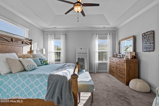 bedroom featuring carpet, crown molding, multiple windows, and a raised ceiling