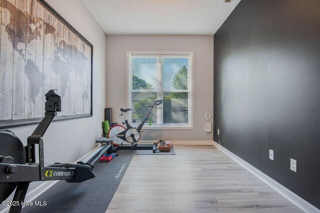 301 Softwood Ct, Jacksonville, NC 28540 - exercise room featuring wood finished floors and baseboards