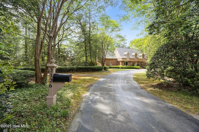 view of road featuring aphalt driveway
