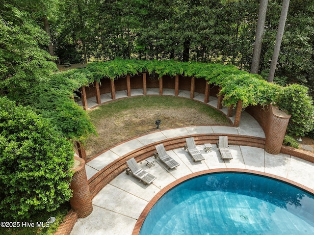 view of pool featuring a patio