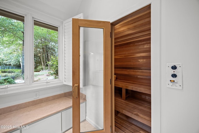 view of sauna / steam room featuring a wealth of natural light