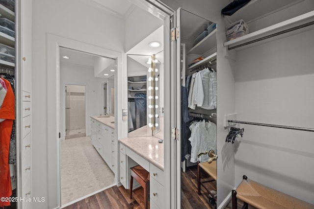walk in closet featuring wood finished floors