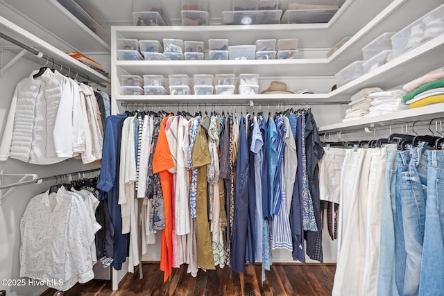 spacious closet featuring wood finished floors