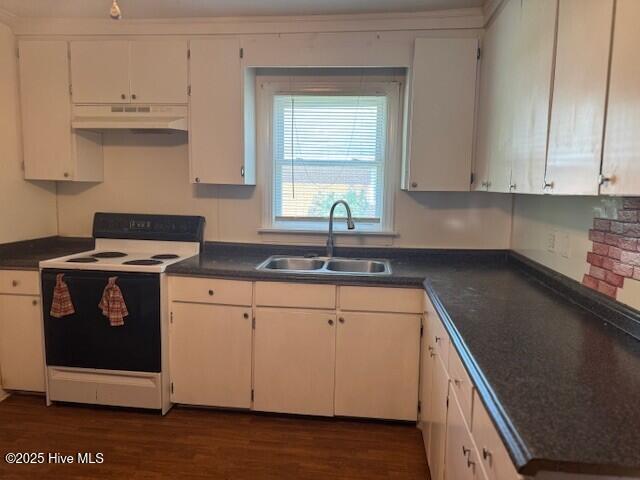 224 Millennium Rd # B, Aulander, NC 27805 - kitchen featuring a sink, dark wood-style floors, electric stove, and under cabinet range hood