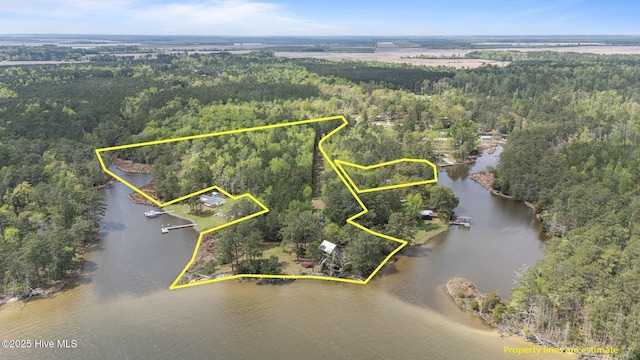 388 Matthews Rd, Bayboro, NC 28515 - aerial view of property and surrounding area featuring a forest, a large body of water, and property parcel outlined