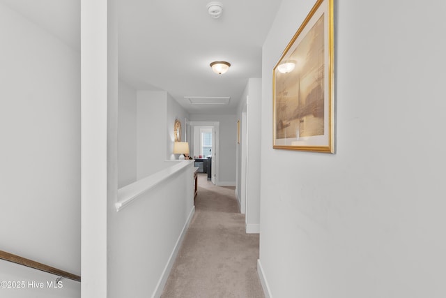 555 Heartwood Dr, Leland, NC 28479 - corridor with light carpet, attic access, and baseboards