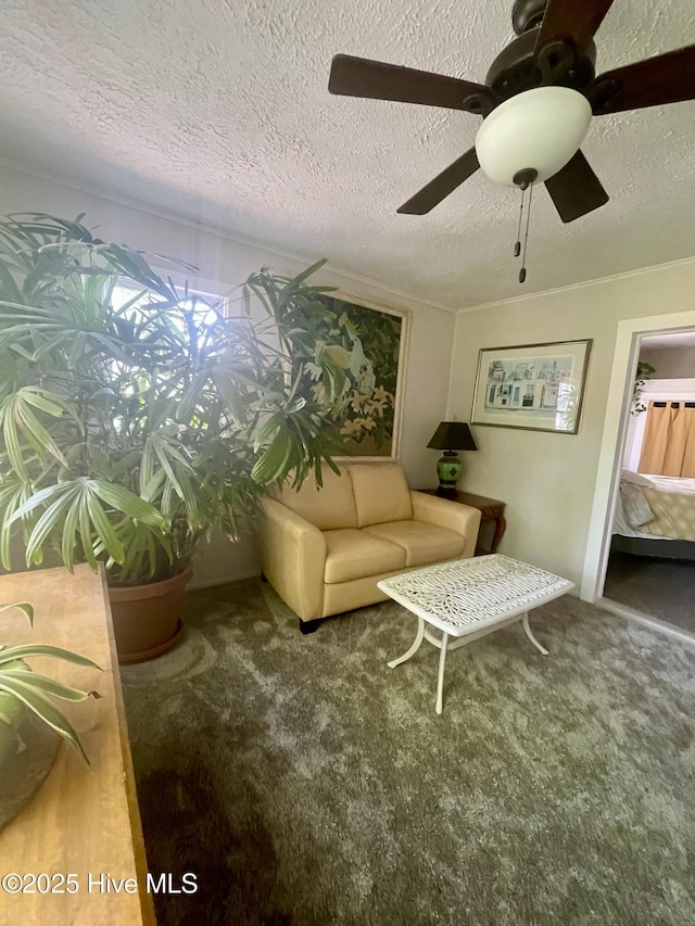 living room featuring carpet, a ceiling fan, and a textured ceiling