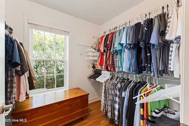 walk in closet with wood finished floors