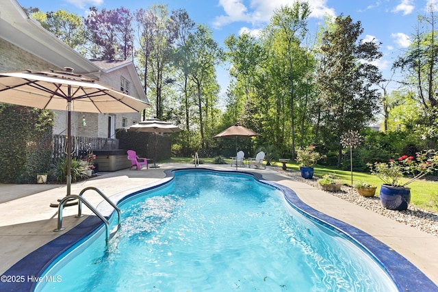 view of pool featuring a fenced in pool and a patio