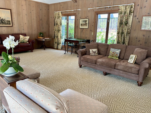 207 Bump A Long Ln, Southern Pines, NC 28387 - carpeted living area featuring wood walls and a healthy amount of sunlight