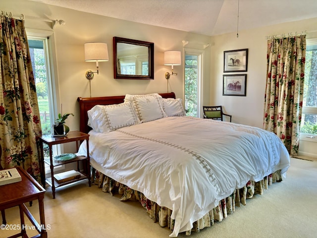 207 Bump A Long Ln, Southern Pines, NC 28387 - carpeted bedroom with multiple windows