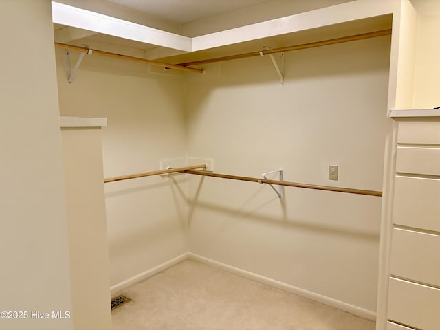 207 Bump A Long Ln, Southern Pines, NC 28387 - spacious closet with visible vents and carpet
