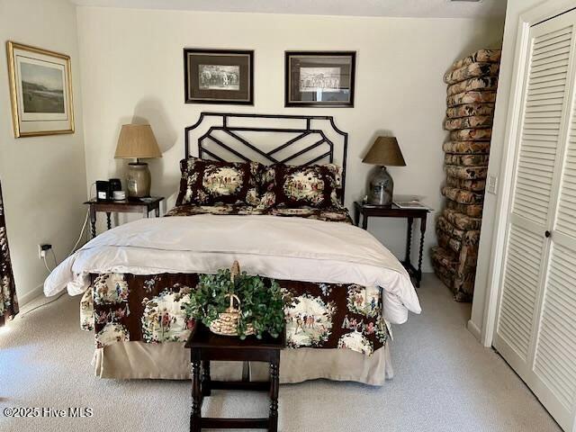 207 Bump A Long Ln, Southern Pines, NC 28387 - bedroom featuring a closet, baseboards, and carpet floors
