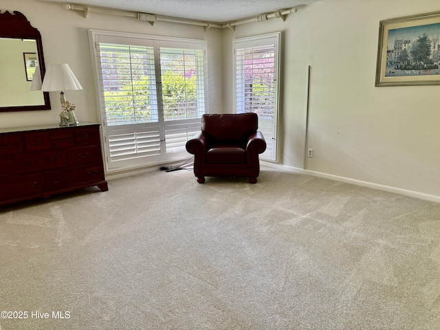 207 Bump A Long Ln, Southern Pines, NC 28387 - living area featuring carpet floors, baseboards, and a textured ceiling