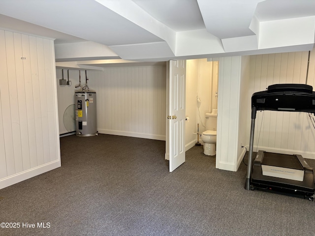 207 Bump A Long Ln, Southern Pines, NC 28387 - exercise area featuring dark colored carpet, water heater, baseboards, and wooden walls