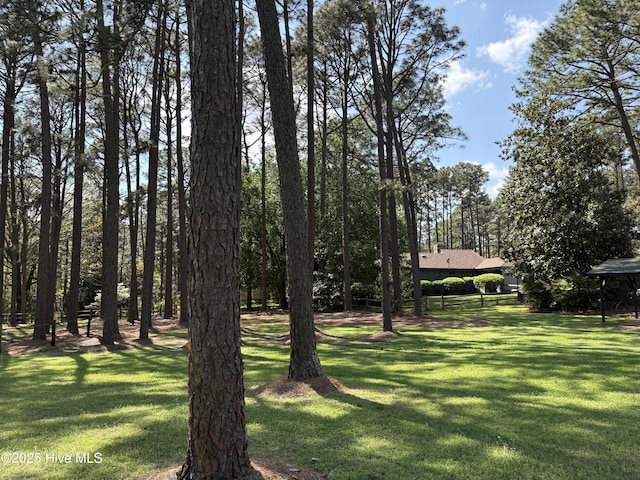 207 Bump A Long Ln, Southern Pines, NC 28387 - view of yard