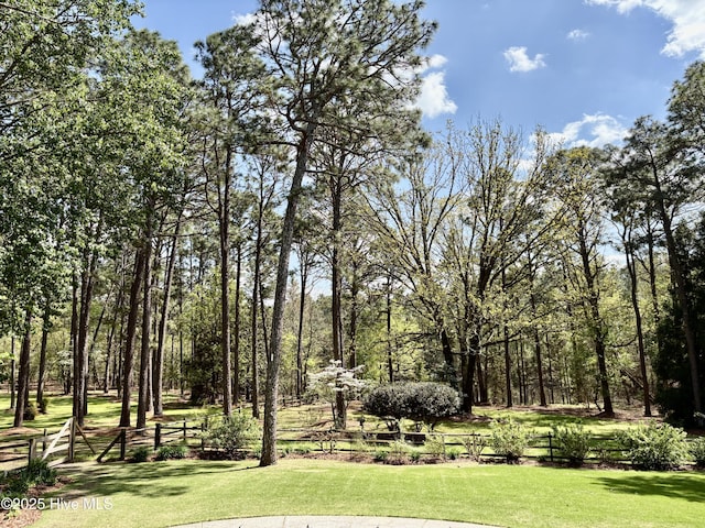 207 Bump A Long Ln, Southern Pines, NC 28387 - view of yard with fence