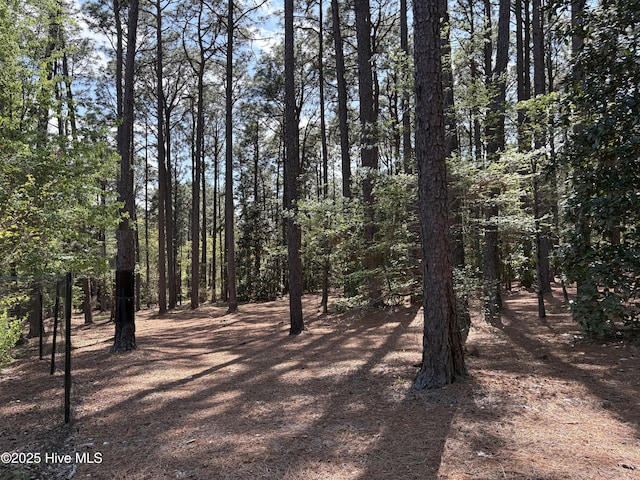 207 Bump A Long Ln, Southern Pines, NC 28387 - view of landscape with a forest view