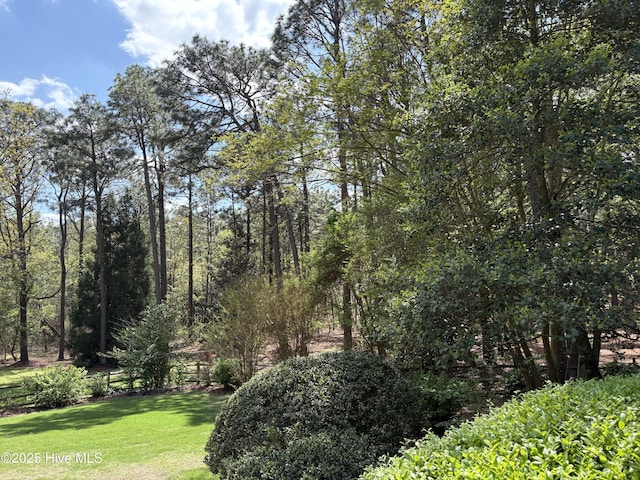 207 Bump A Long Ln, Southern Pines, NC 28387 - view of landscape