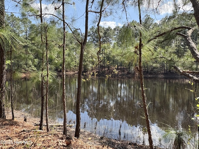 207 Bump A Long Ln, Southern Pines, NC 28387 - view of water feature