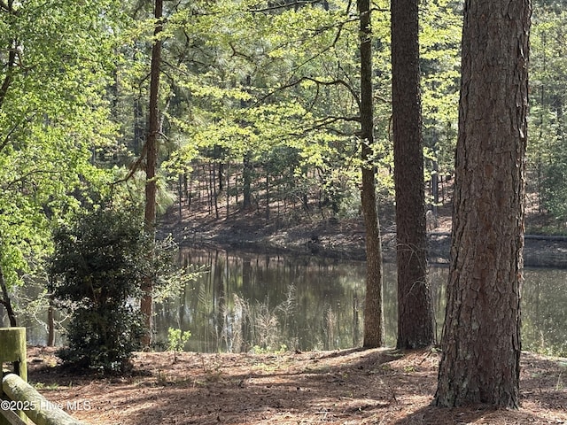 207 Bump A Long Ln, Southern Pines, NC 28387 - view of nature with a wooded view and a water view