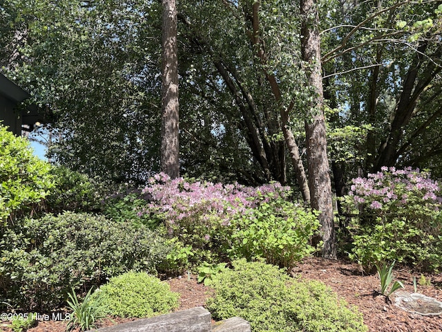 207 Bump A Long Ln, Southern Pines, NC 28387 - view of landscape