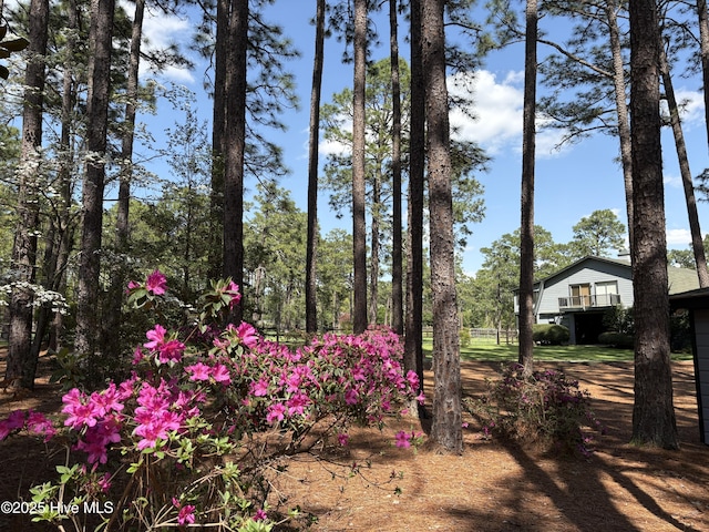 207 Bump A Long Ln, Southern Pines, NC 28387 - view of yard