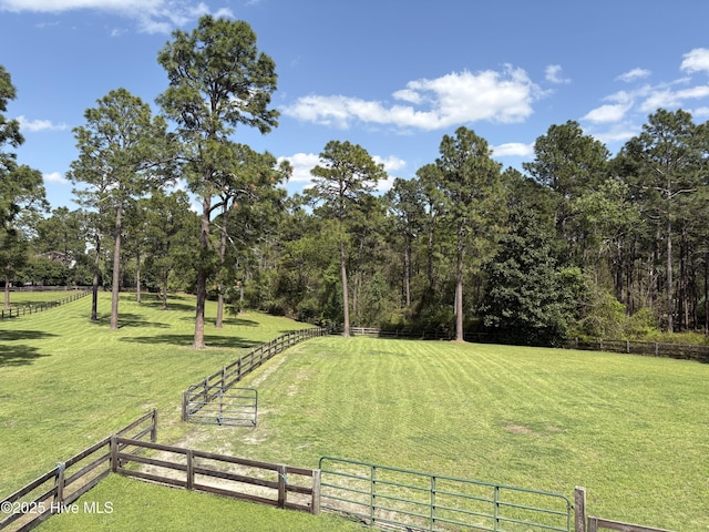 207 Bump A Long Ln, Southern Pines, NC 28387 - view of yard with fence
