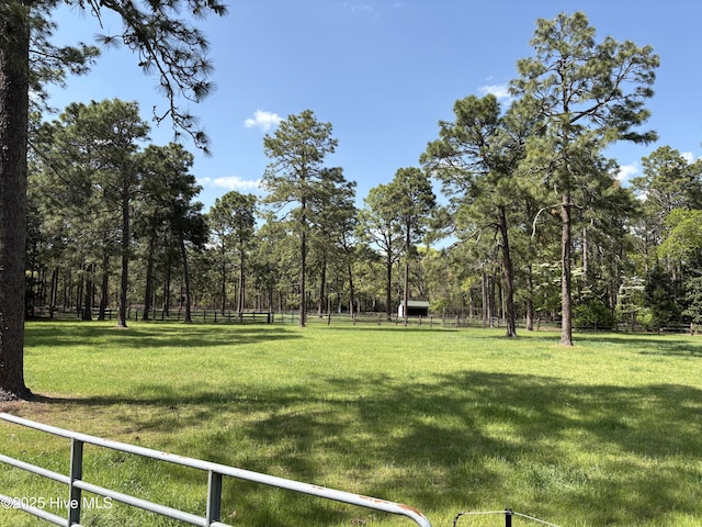 207 Bump A Long Ln, Southern Pines, NC 28387 - view of yard featuring fence