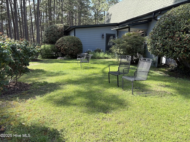 207 Bump A Long Ln, Southern Pines, NC 28387 - view of yard