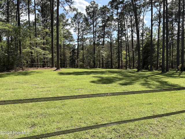 207 Bump A Long Ln, Southern Pines, NC 28387 - view of yard