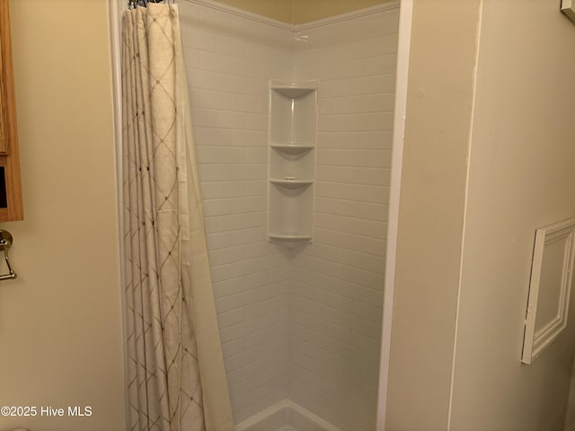 207 Bump A Long Ln, Southern Pines, NC 28387 - bathroom featuring a shower with shower curtain