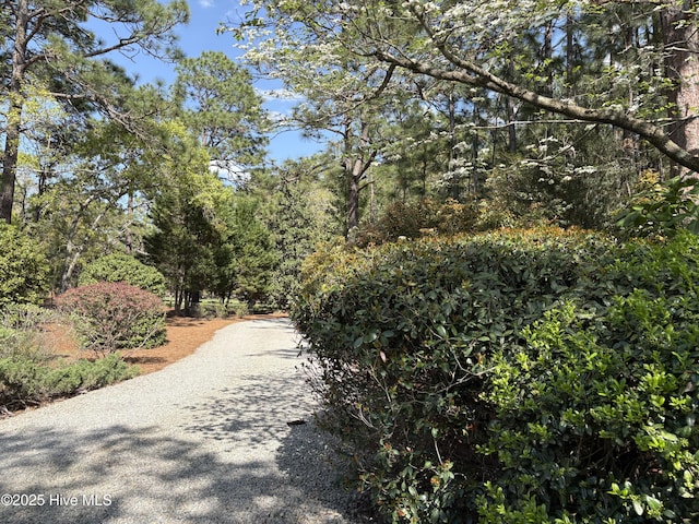 207 Bump A Long Ln, Southern Pines, NC 28387 - view of road