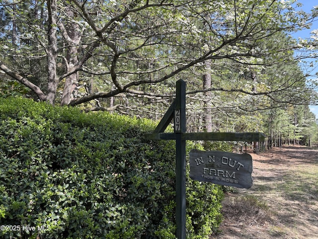207 Bump A Long Ln, Southern Pines, NC 28387 - view of details