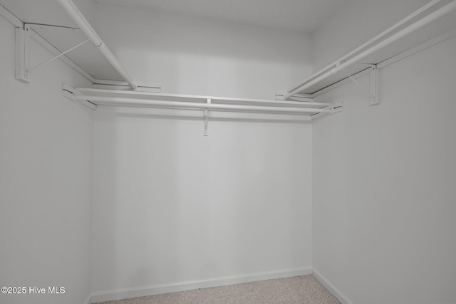 walk in closet with carpet