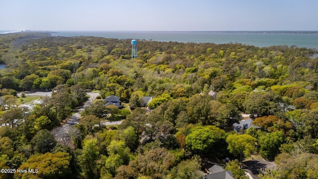 bird's eye view with a forest view