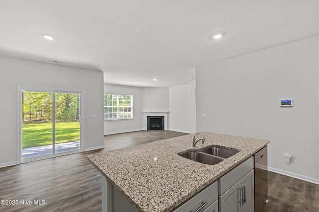 5900 Santo Domingo Ct, New Bern, NC 28560 - kitchen with a fireplace, dark wood-style floors, a center island with sink, a sink, and dishwasher