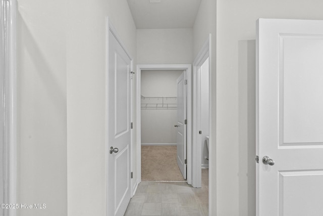 5900 Santo Domingo Ct, New Bern, NC 28560 - hall featuring baseboards