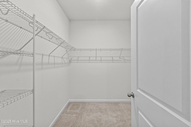 5900 Santo Domingo Ct, New Bern, NC 28560 - spacious closet featuring carpet floors