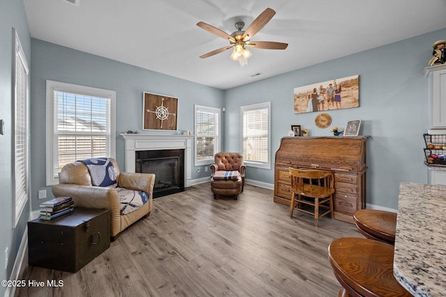 506 White Shoal Way, Sneads Ferry, NC 28460 - living area with a ceiling fan, wood finished floors, a healthy amount of sunlight, and a fireplace