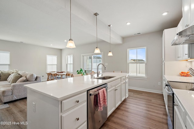 kitchen featuring wood finished floors, a healthy amount of sunlight, a sink, and stainless steel appliances