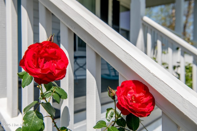 101 Beaufort Walk, Beaufort, NC 28516 - view of exterior details