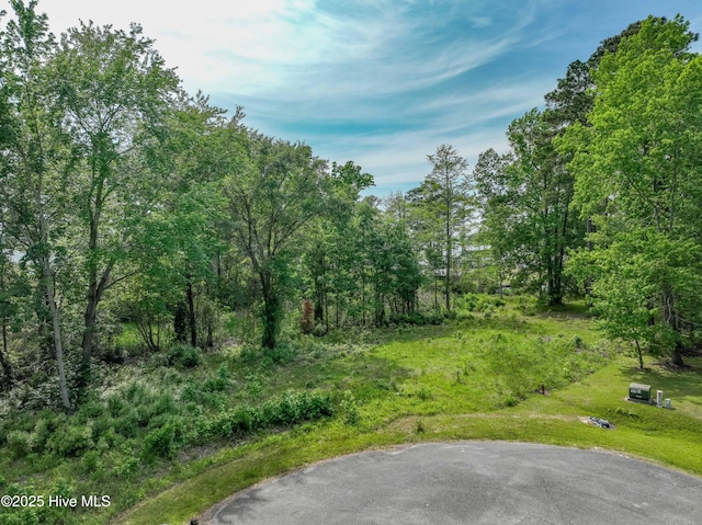 LOT66A Cedar Ln Unit 6 & 6A, Belhaven, NC 27810