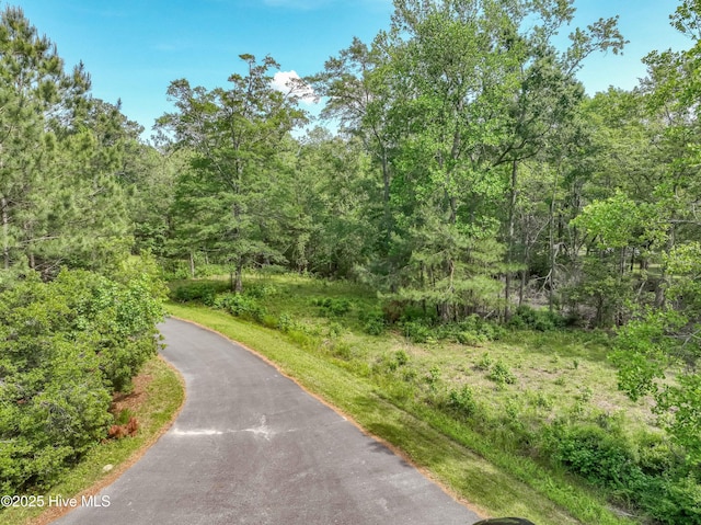 LOT66A Cedar Ln Unit 6 & 6A, Belhaven, NC 27810