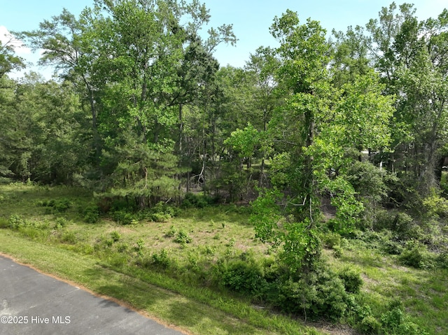 LOT66A Cedar Ln Unit 6 & 6A, Belhaven, NC 27810