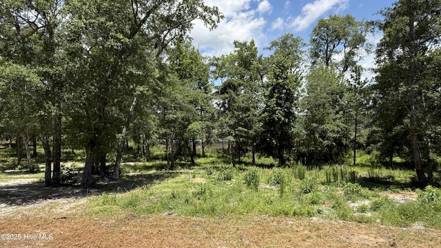 295 E Ivybridge Dr, Hubert, NC 28539 - view of nature