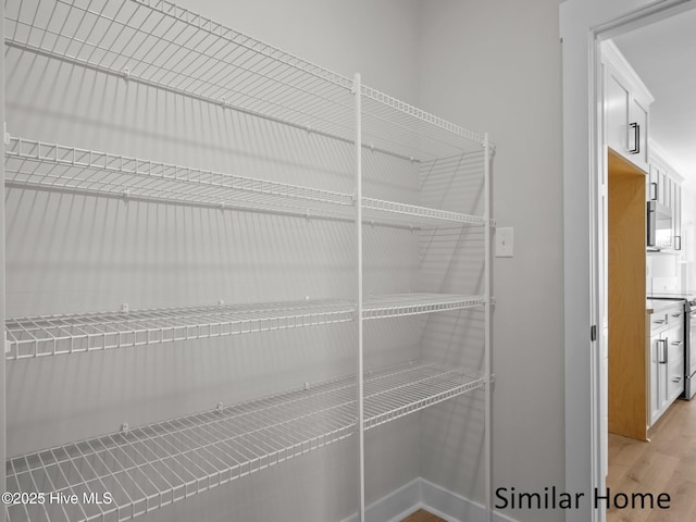 295 E Ivybridge Dr, Hubert, NC 28539 - view of pantry
