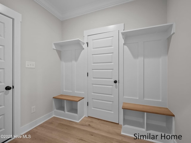 295 E Ivybridge Dr, Hubert, NC 28539 - mudroom with ornamental molding and light wood finished floors